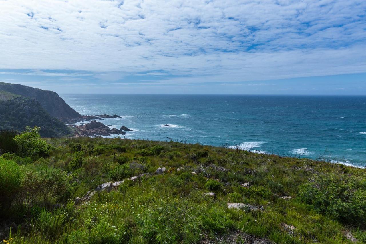 Knysna Breakwaters Haven Dış mekan fotoğraf